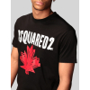 dsquared2 leaf tricko (1)