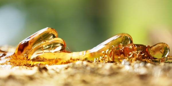 Ako odstrániť smolu z oblečenia [Osvedčené metódy]