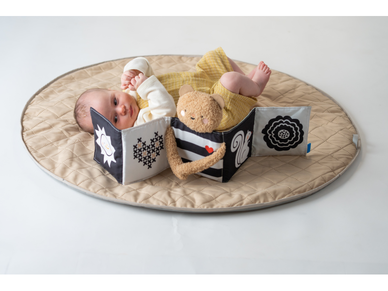 Taf Toys Medvedík plyšový s knižkou Snuggle Bear