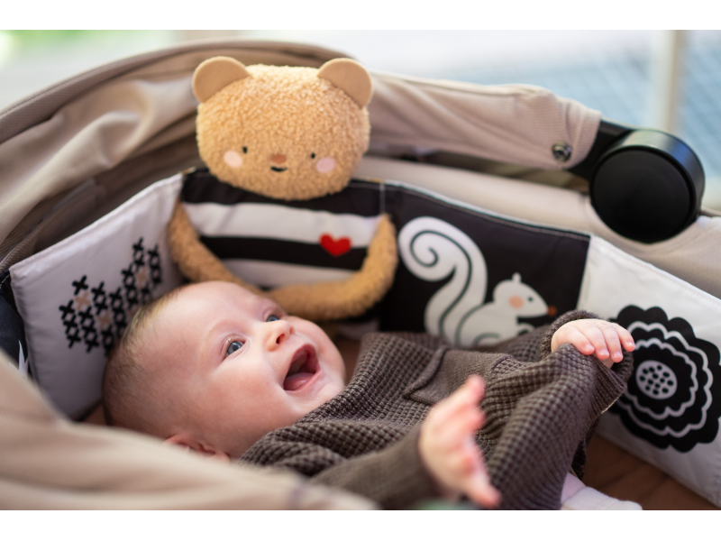 Taf Toys Medvedík plyšový s knižkou Snuggle Bear