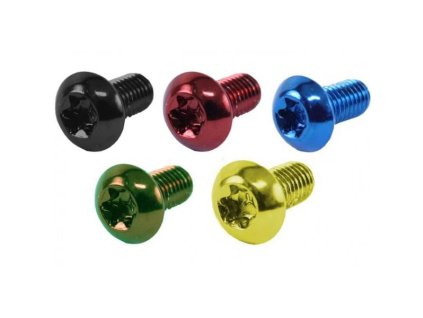 šroub na kotouč Torx 1ks