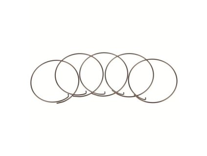 Fulcrum pružinka pro MTB ořechy 1ks