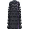 plášť Schwalbe Albert 29x2.50 GRAVITY PRO TLR UltraSoft