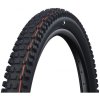 plášť Schwalbe Albert 29x2.50 TRAIL PRO TLR AddixSoft
