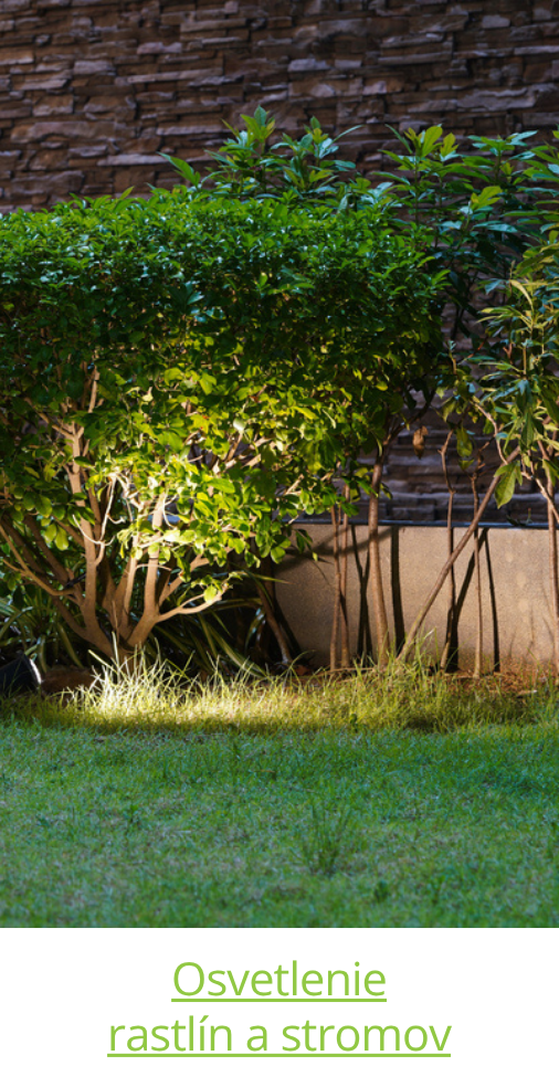 Osvětlení rostlin a stromů