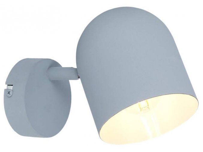 Sivé stropné/nástenné svietidlo Azuro pre žiarovku E27