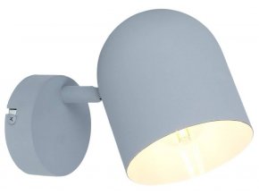 Sivé stropné/nástenné svietidlo Azuro pre žiarovku E27