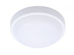 Biele LED stropné/nástenné svietidlo 13W I54