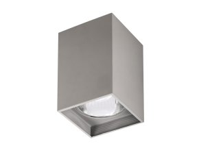 Sivé stropné svietidlo Maddox pre žiarovku E27