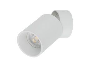 5373 TOP DOWNLIGHT WHITE A