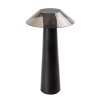 Čierna záhradná nabíjacia lampa Assen 5W 28,5cm
