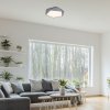 Sivé stropné LED svietidlo Raffa 400mm 30W