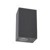 10970 AXIS GRAY L