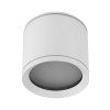 10595 VIVO WHITE P