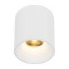 18157 BLAZE WHITE CCT 12W O1
