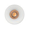 18157 BLAZE WHITE CCT 12W P1