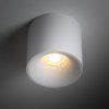 18161 BLAZE WHITE CCT 30W B