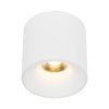 18161 BLAZE WHITE CCT 30W O1