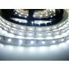 LED pásik 12W/m 12V s krytím IP54