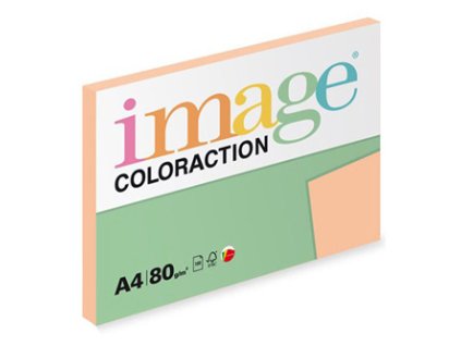 Savana  Coloraction  A4  80 g/m2  100 listů