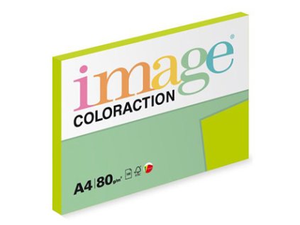 Java  Coloraction  A4  80 g/m2  100 listů