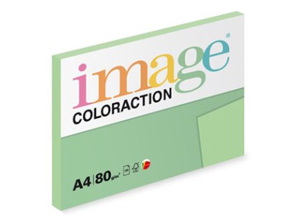 Forest  Coloraction  A4  80 g/m2  100 listů