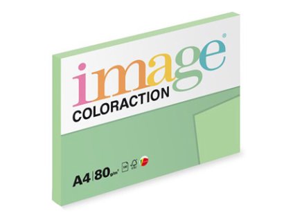 Jungle  Coloraction  A4  80 g/m2  100 listů