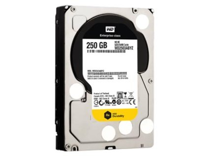 Western Digital interní pevný disk, WD RE Raid, 3.5", SATA III, 0,25TB, 250GB, WD2503ABYZ