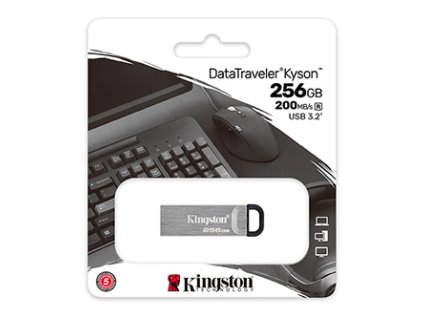 318717 kingston usb flash disk usb 3 0 256gb datatraveler r kyson stribrny dtkn 256gb usb a s poutkem