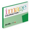 358449 xerograficky papir coloraction dublin a4 80 g m2 tmave zeleny 100 listu vhodny pro inkoustovy tisk