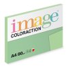 Jungle  Coloraction  A4  80 g/m2  100 listů