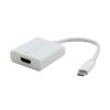 Neutralle USB/Video převodník  USB C samec - HDMI samice  4K2K@30Hz