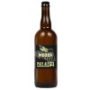 12 Pale Ale sklo