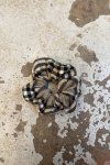 232926 karovana vlnena scrunchie