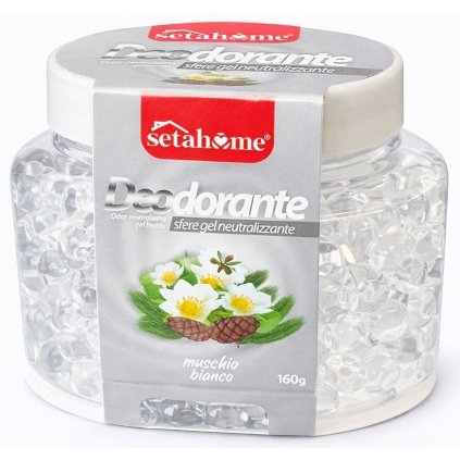 ChatGPT Image 13. 2. 2026 08 14 55