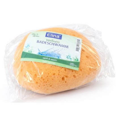 ChatGPT Image 17. 2. 2026 13 18 57