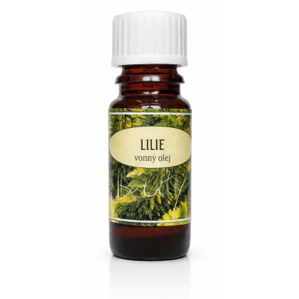 ChatGPT Image 18. 2. 2026 10 36 57