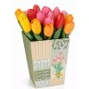 Mýdlový květ tulipánu 4g, Mix barev