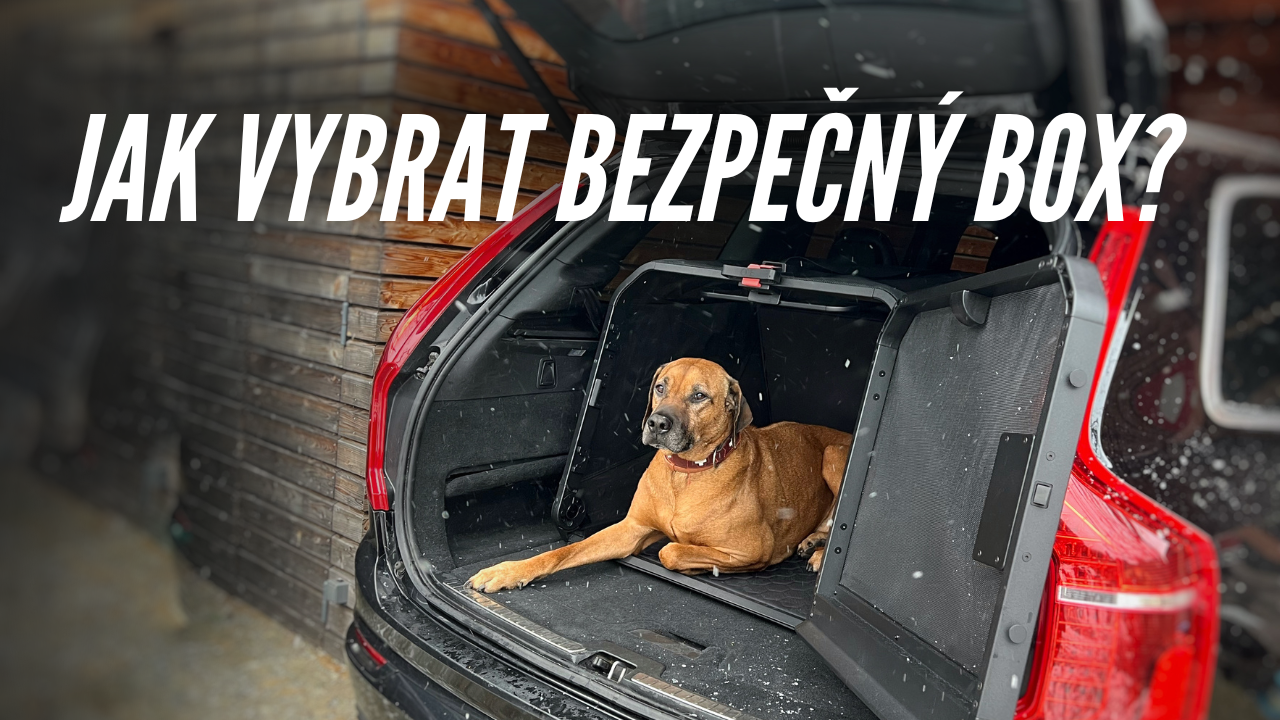 Jak vybrat bezpečný box pro psa do auta?