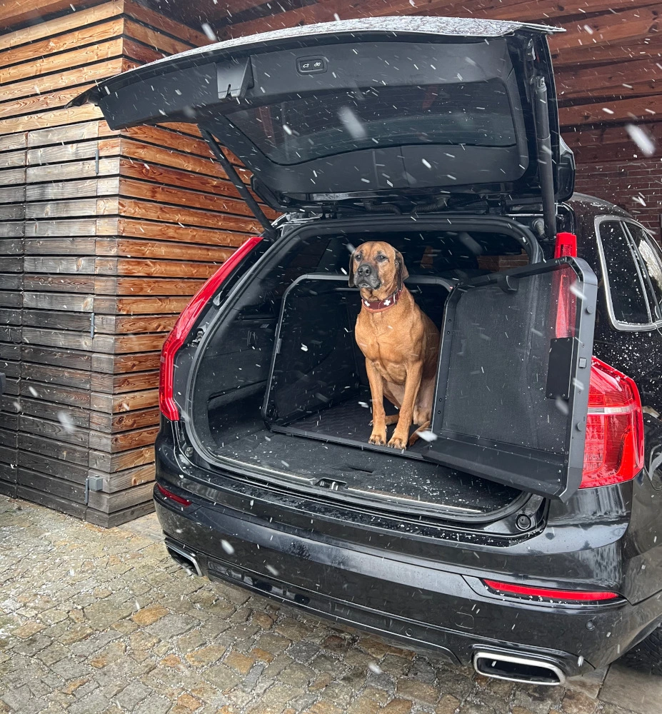 1one1-prepravni-box-pro-psy-N