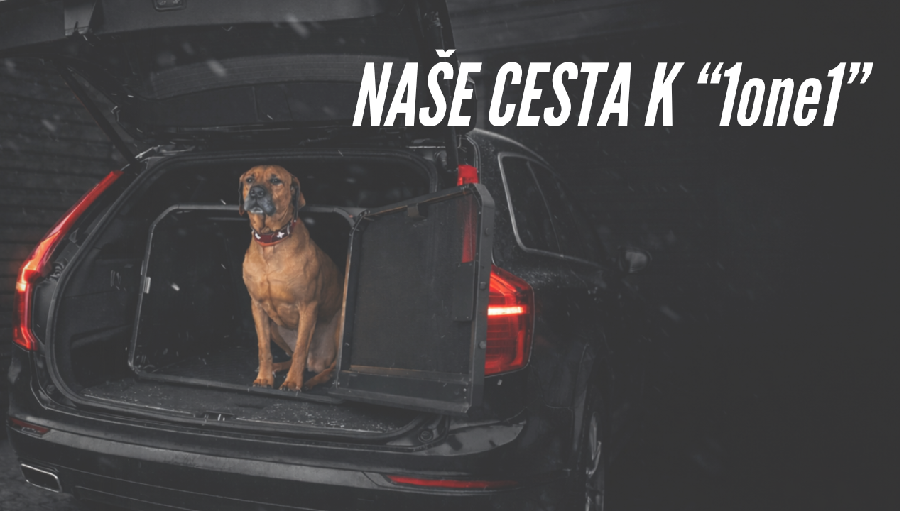 nase-cesta-k-1one1