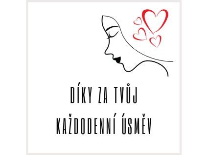 4236 darkova praci visacka 4 5x4 5 cm 4dpv024 mdz