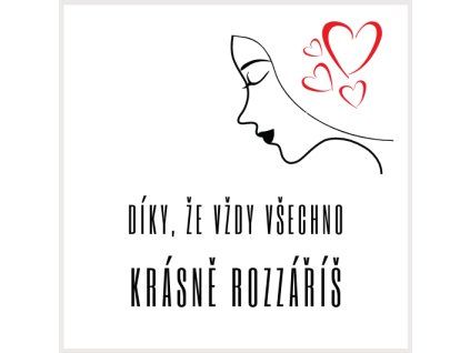 4239 darkova praci visacka 4 5x4 5 cm 4dpv025 mdz