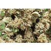 CBD Konopí - Queen S5 | CBD 12%