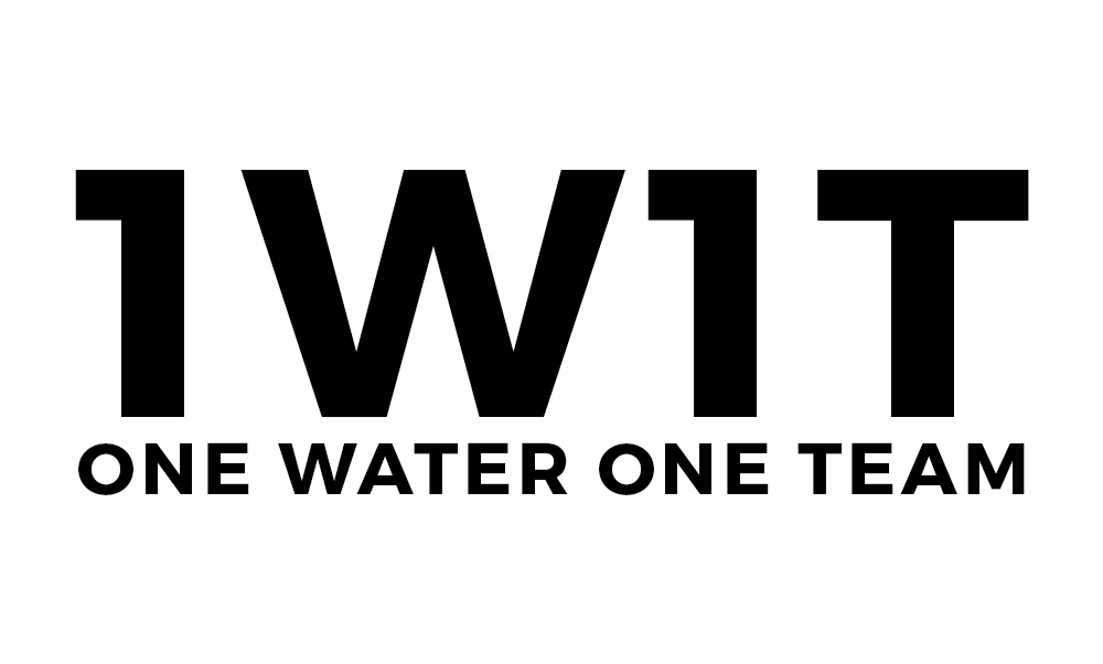 1W1T