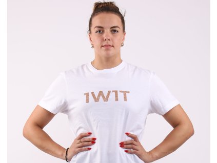 Snímek obrazovky 2025 06 08 v 18.10.04