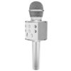 Karaoke mikrofon WS-858 / Izoxis 22188 SILVER – 24365.cz