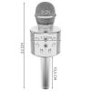Karaoke mikrofon WS-858 / Izoxis 22188 SILVER – 24365.cz
