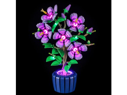 1 52181f4d 2fe6 43e4 b351 1cab9f0052f5 1000x