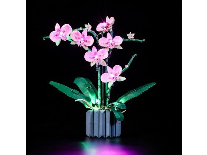 lego 10311 orchid lightailing 700x.jpg